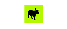 bull